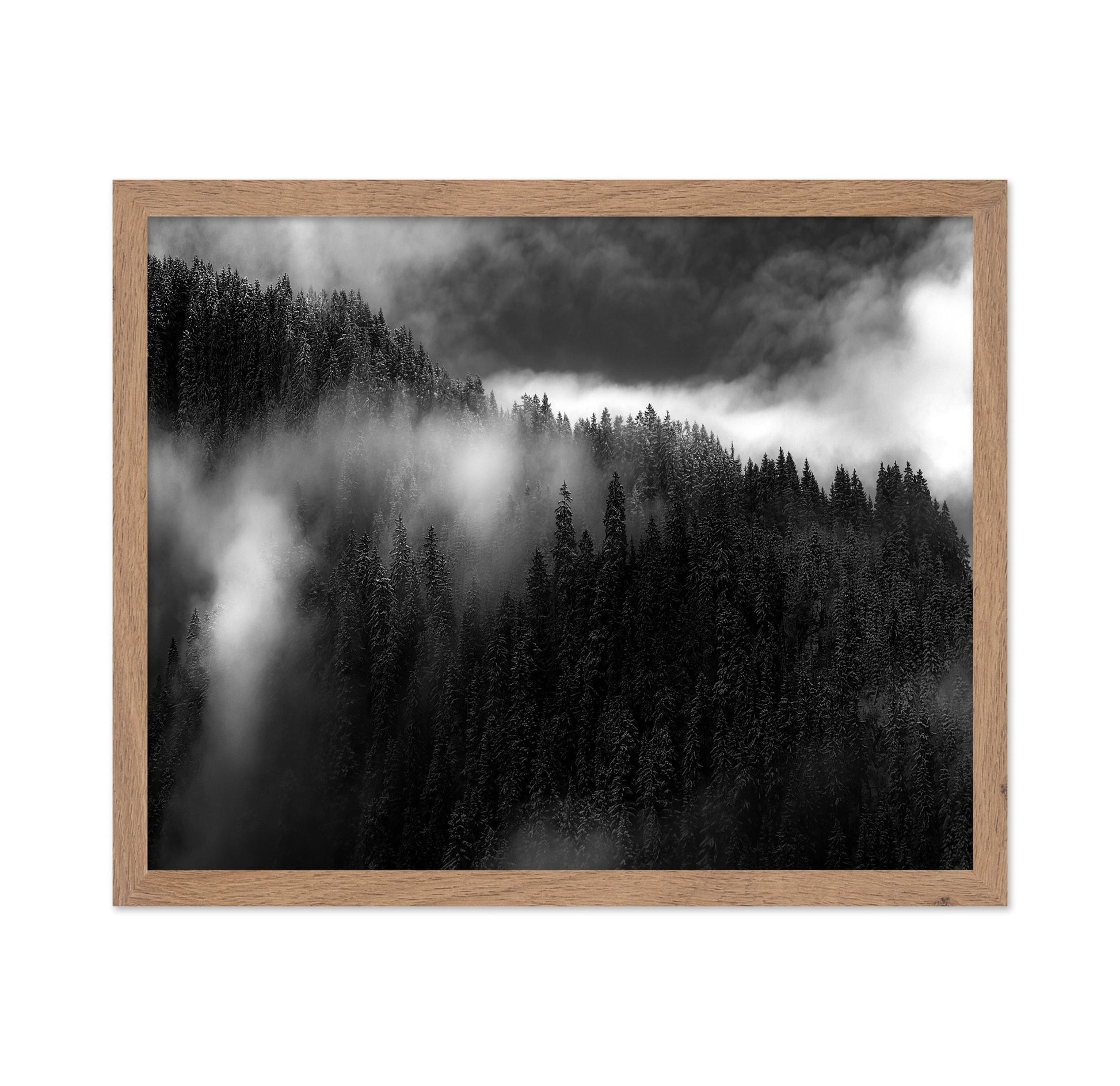 Misty Pine Ridge No1