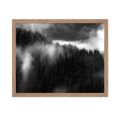 Misty Pine Ridge No1