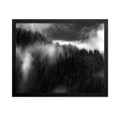 Misty Pine Ridge No1