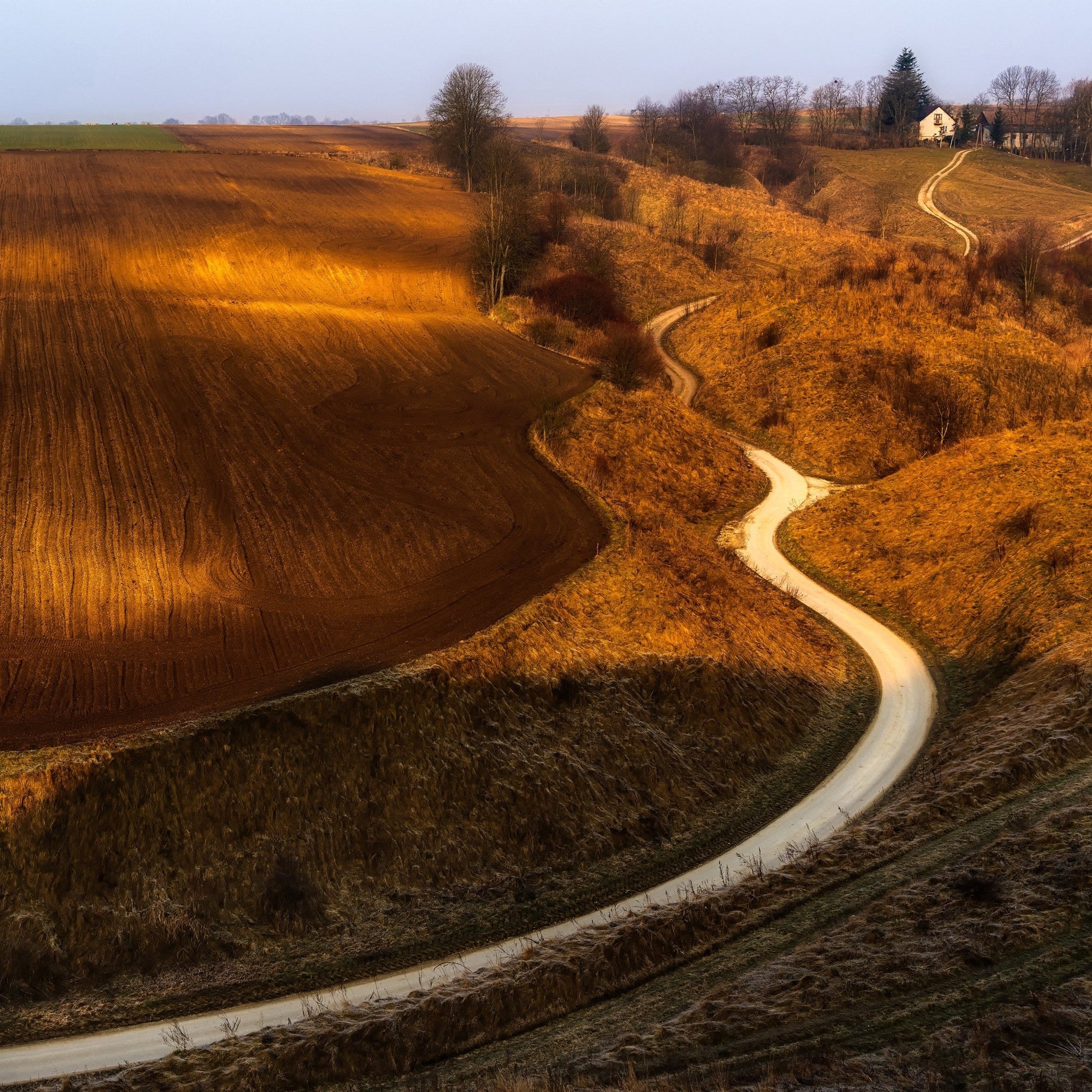 Golden Winding Path