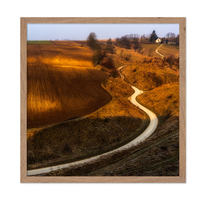 Golden Winding Path