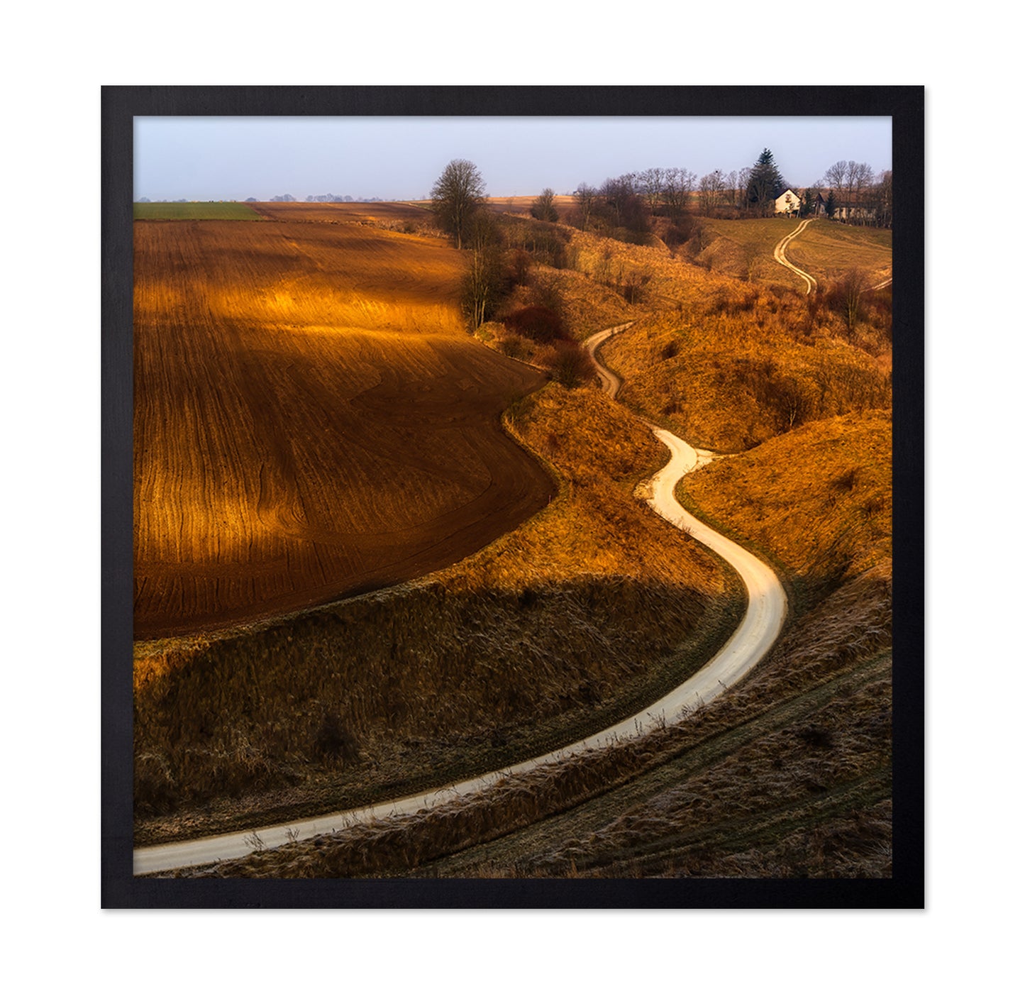 Golden Winding Path
