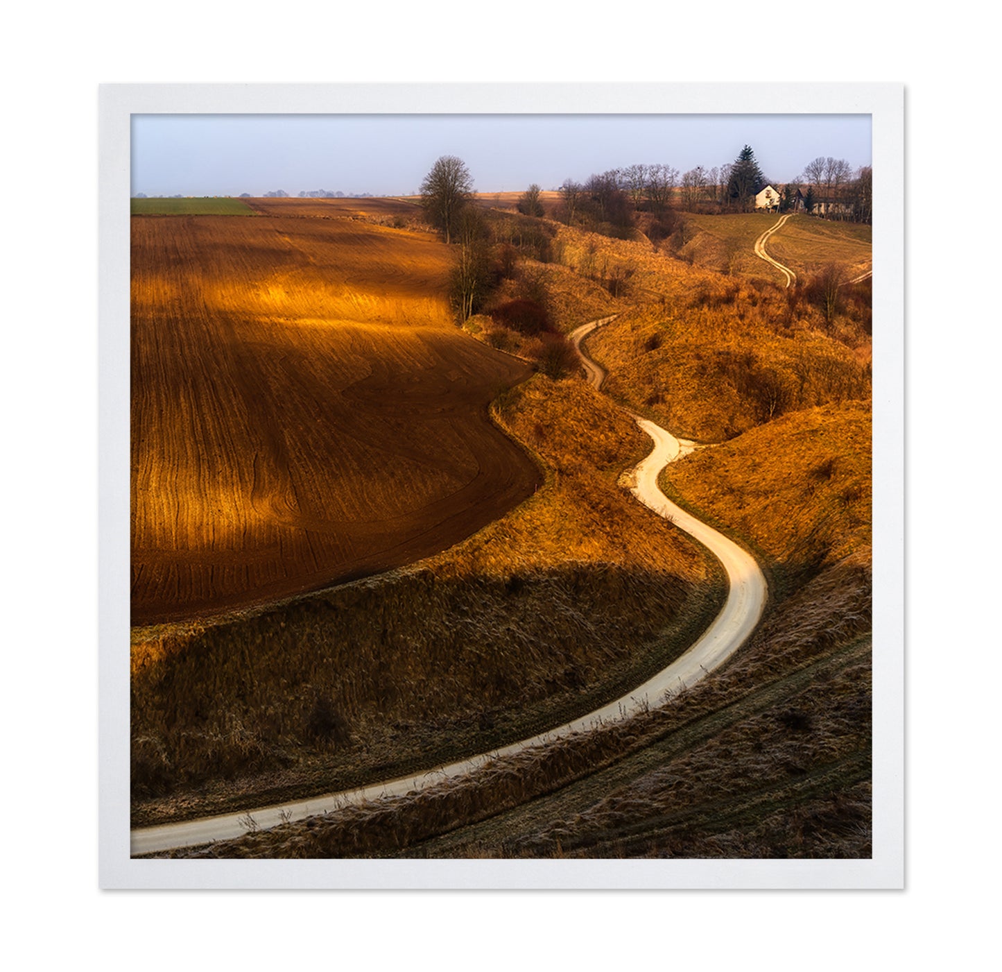 Golden Winding Path
