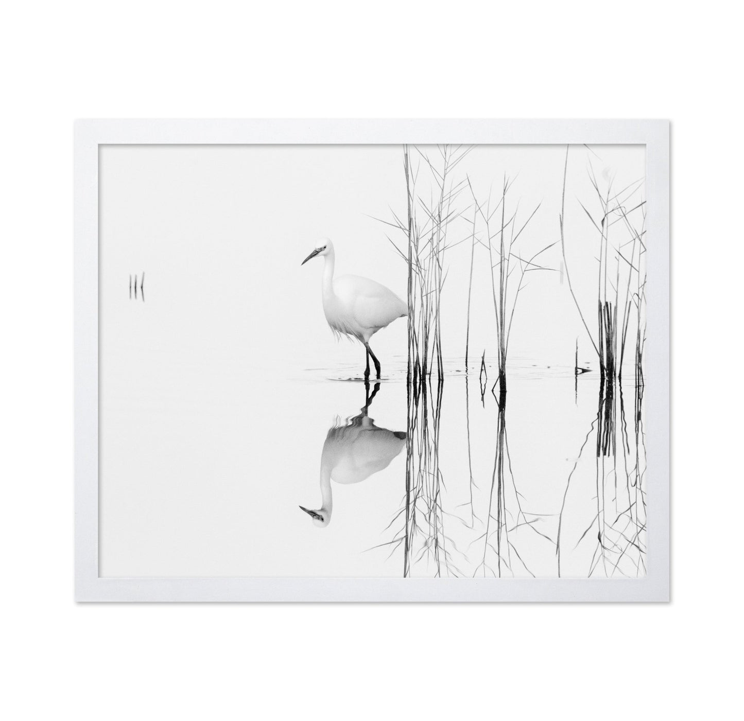 Silent Egret Reflection