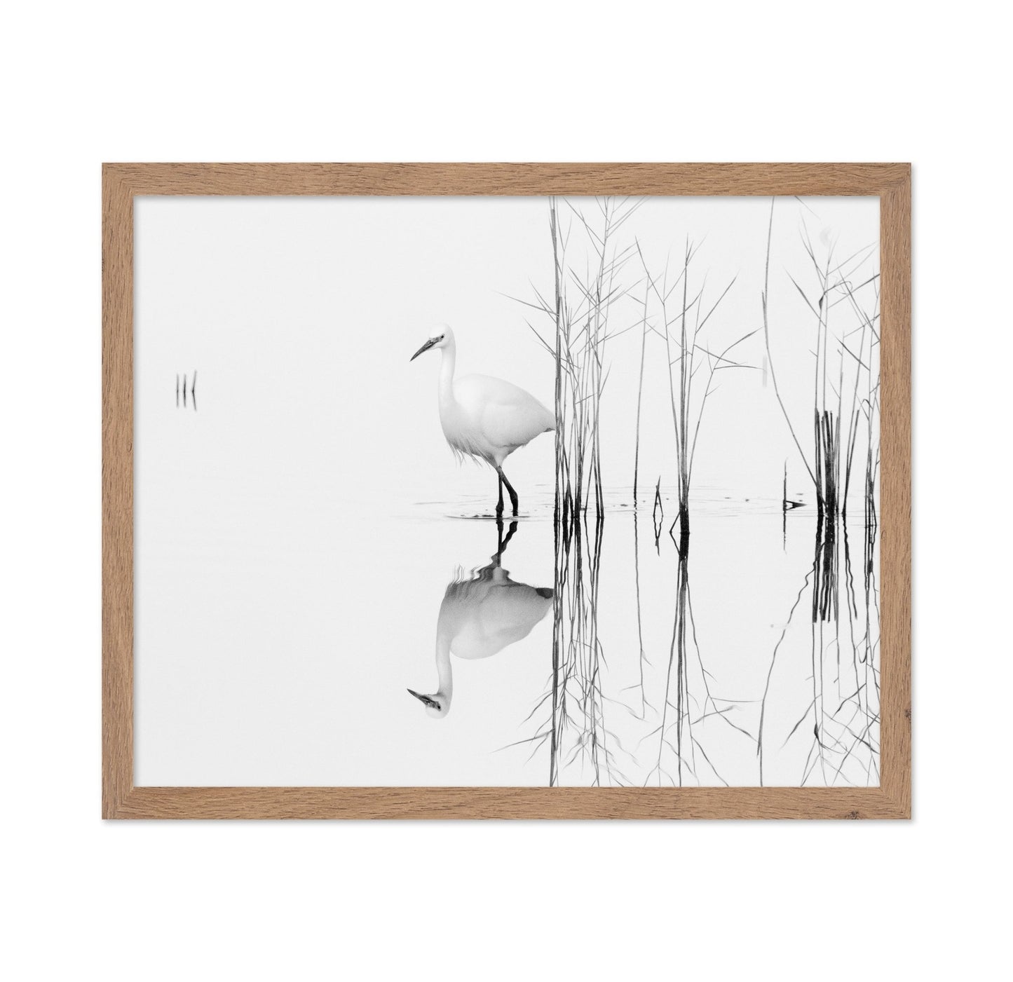 Silent Egret Reflection