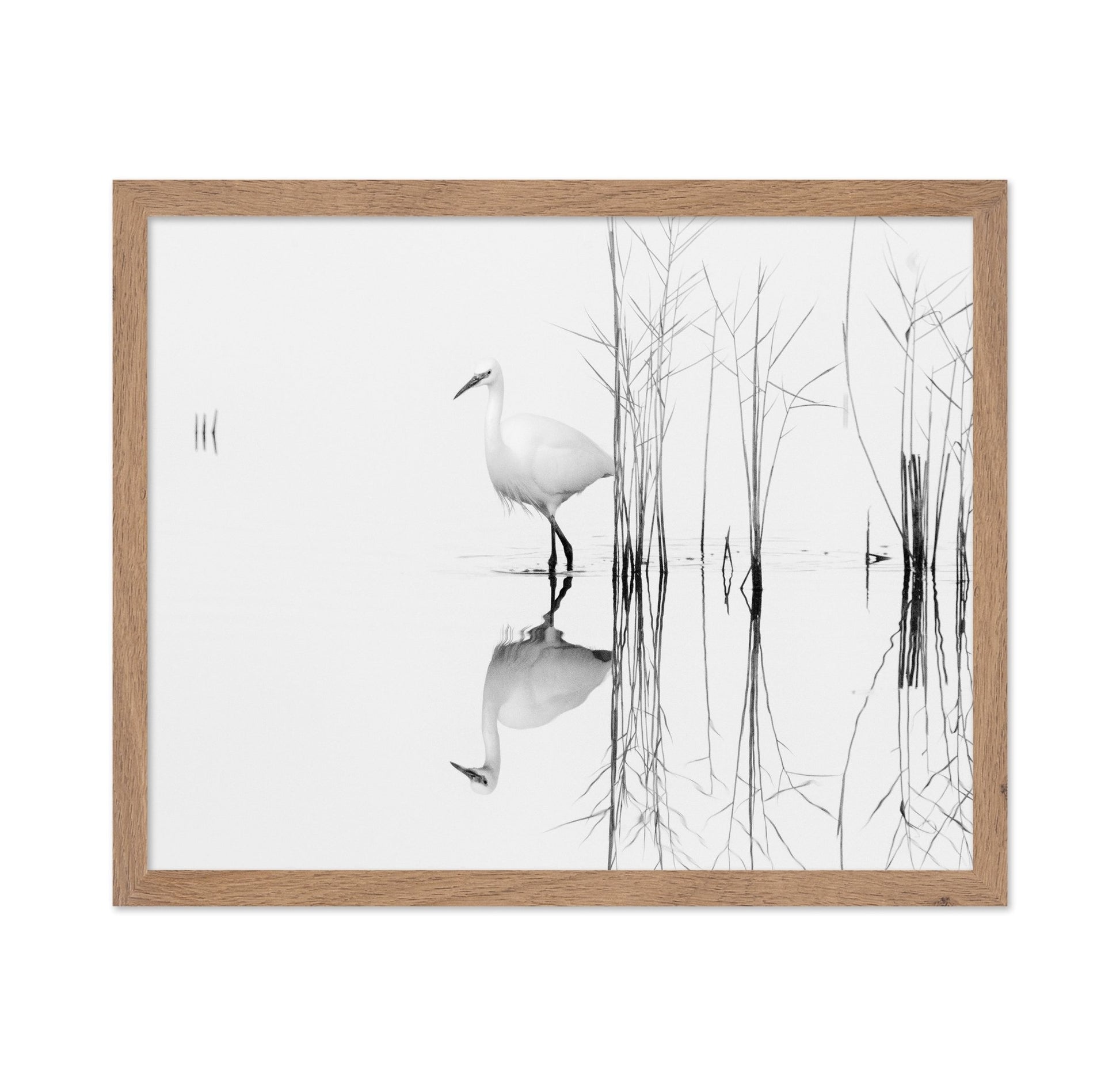 Silent Egret Reflection