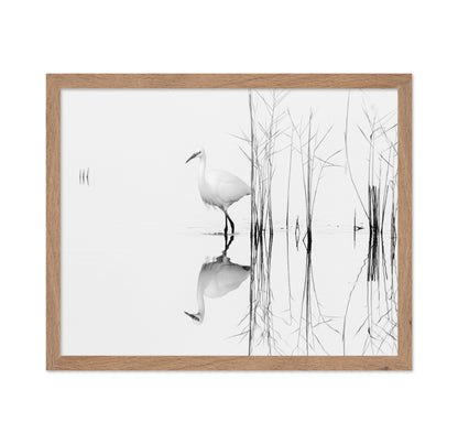 Silent Egret Reflection