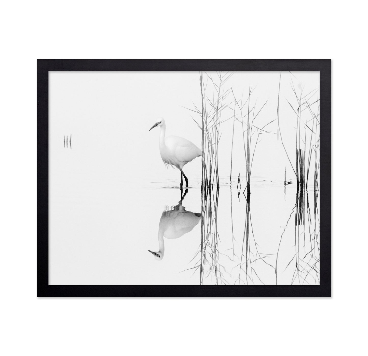 Silent Egret Reflection