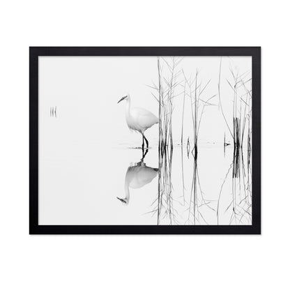 Silent Egret Reflection