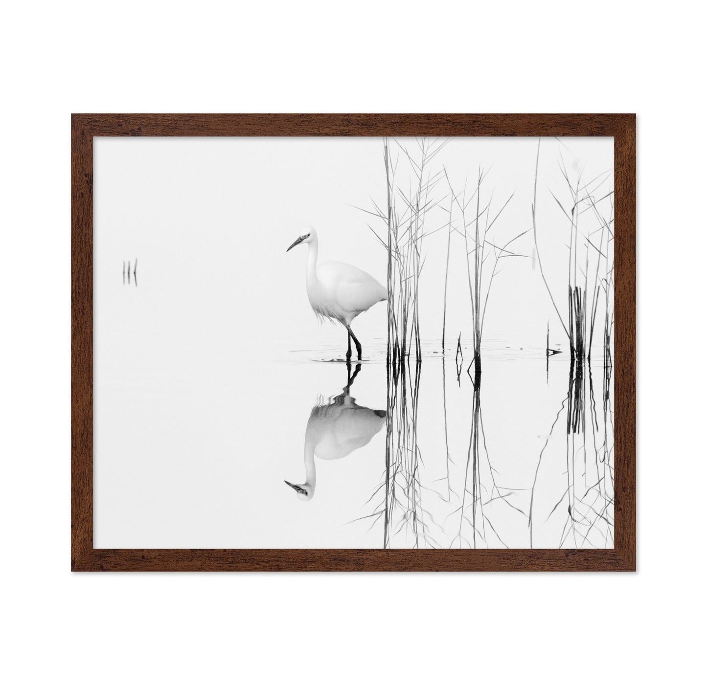 Silent Egret Reflection
