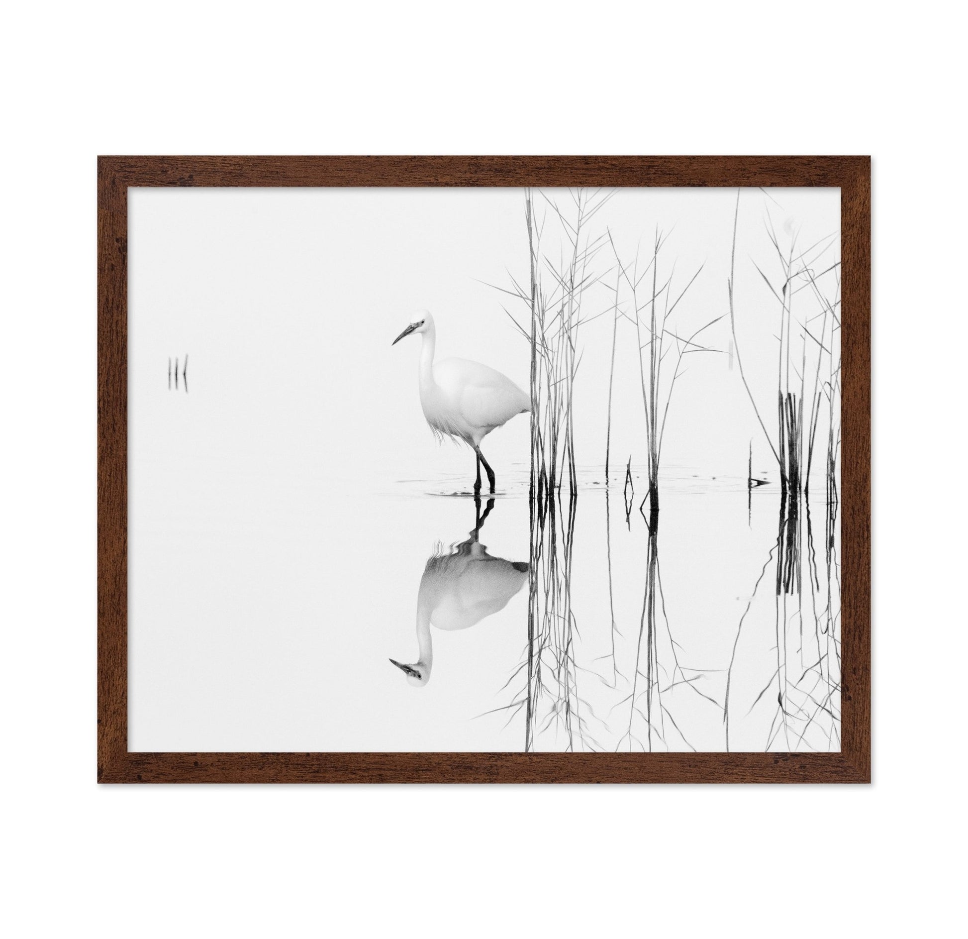 Silent Egret Reflection