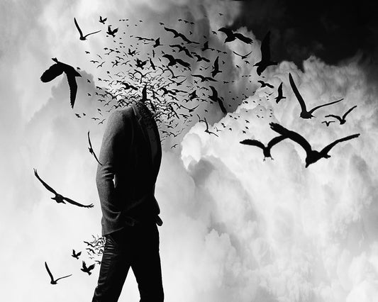 Flock Mind Shadow