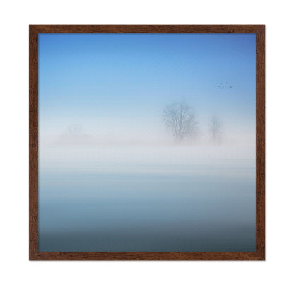 Misty Silence Trees