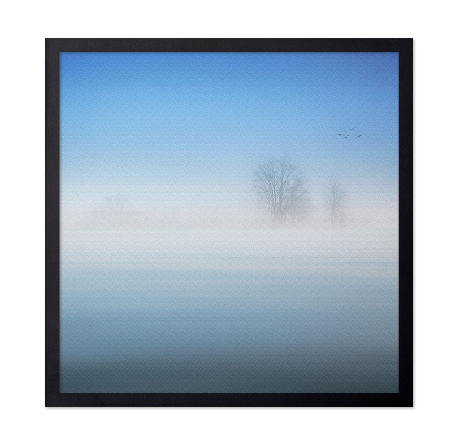 Misty Silence Trees