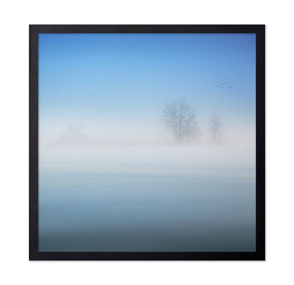 Misty Silence Trees