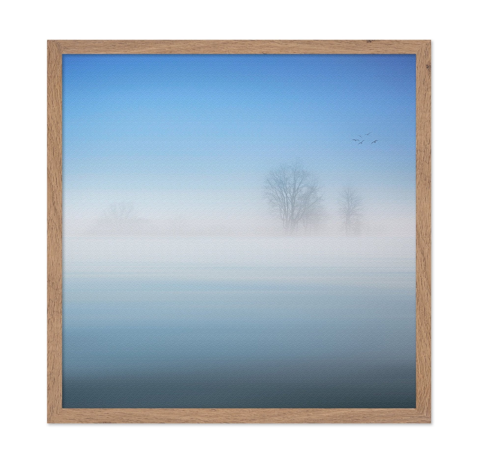Misty Silence Trees