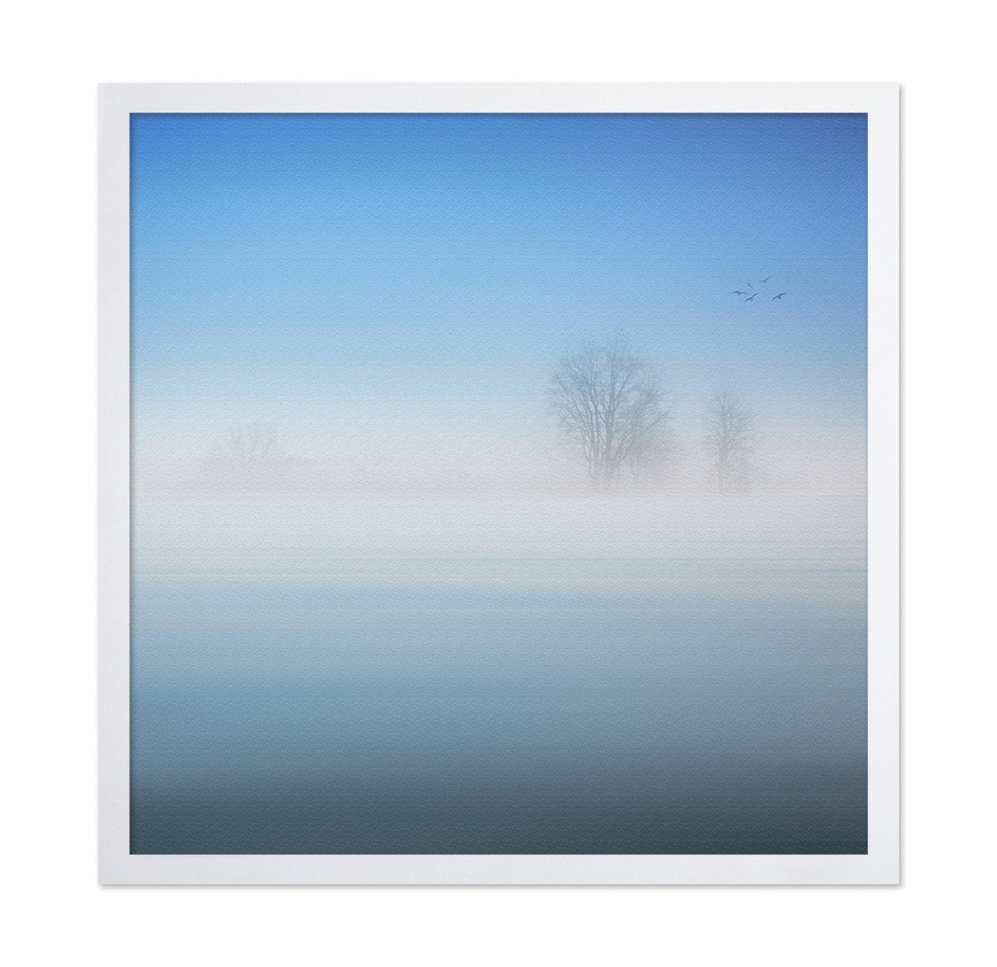 Misty Silence Trees