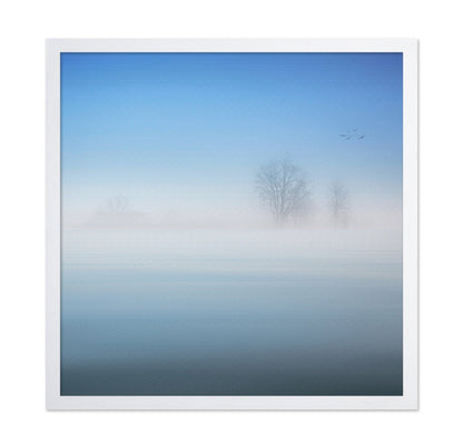 Misty Silence Trees