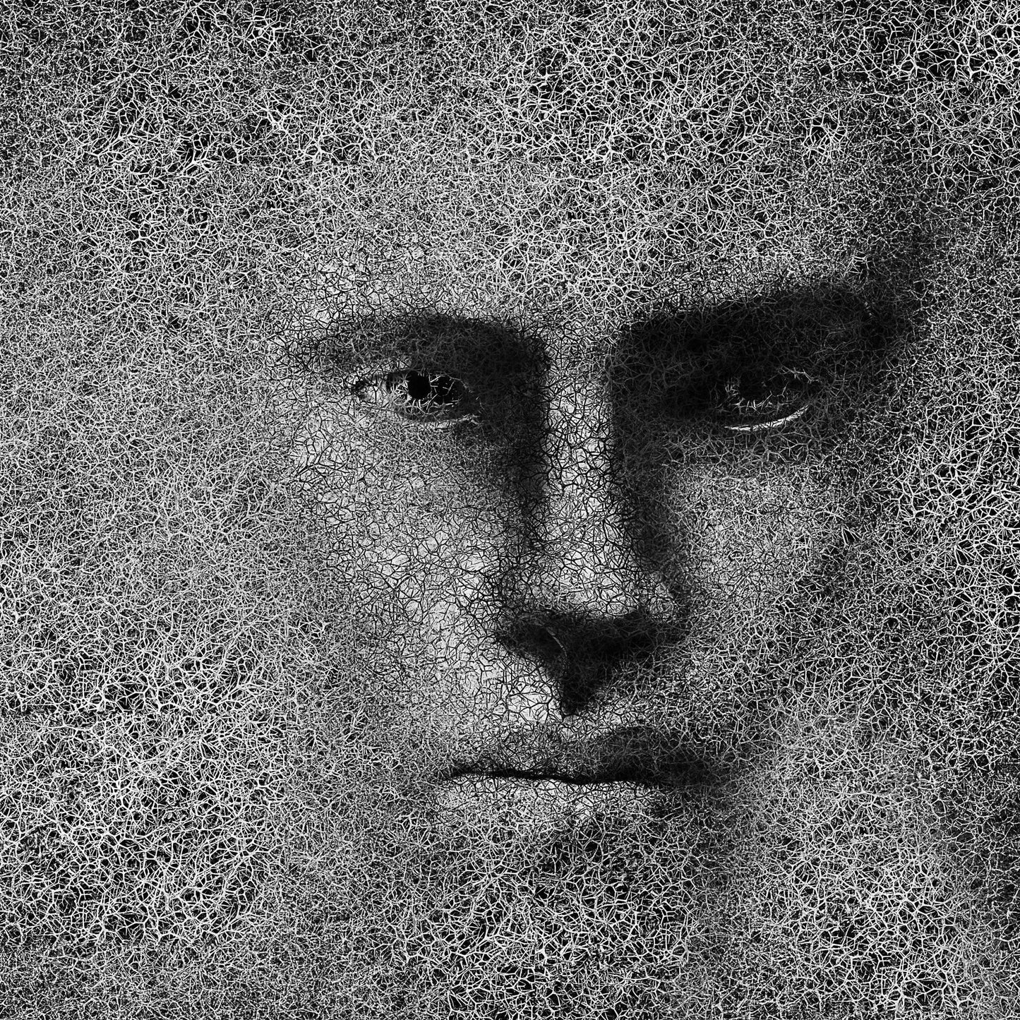 Cracked Shadow Portrait