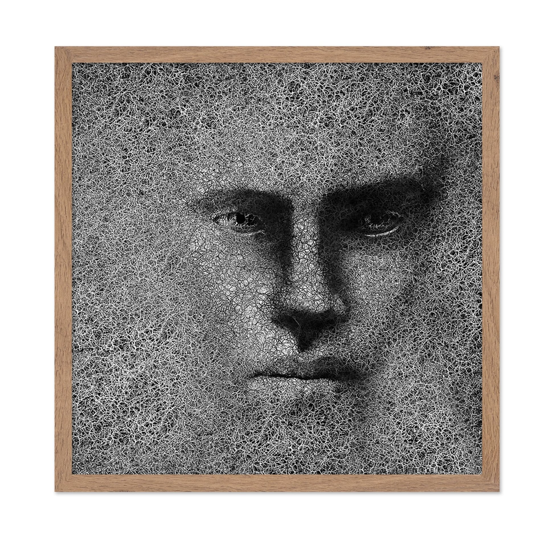Cracked Shadow Portrait