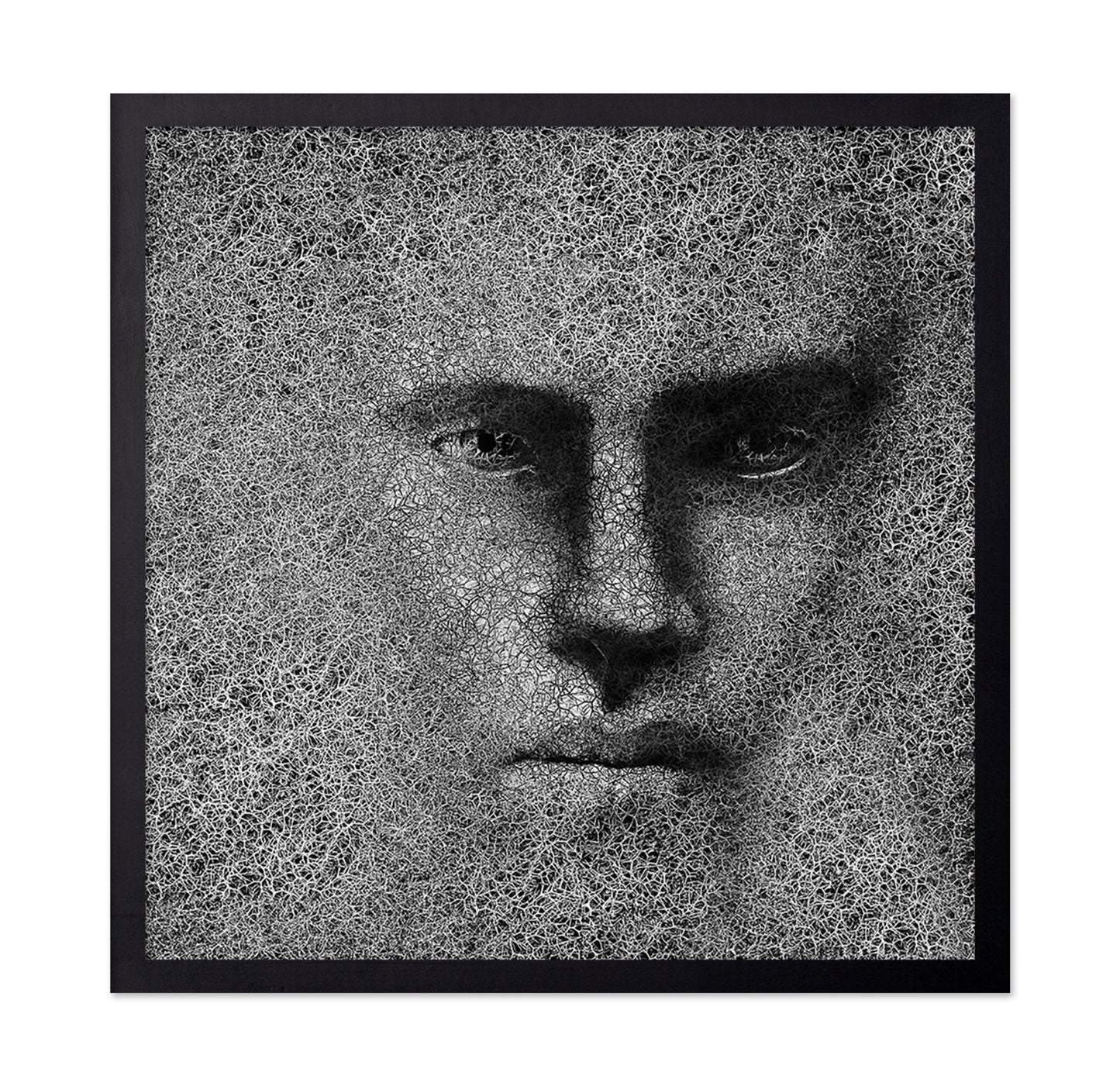 Cracked Shadow Portrait
