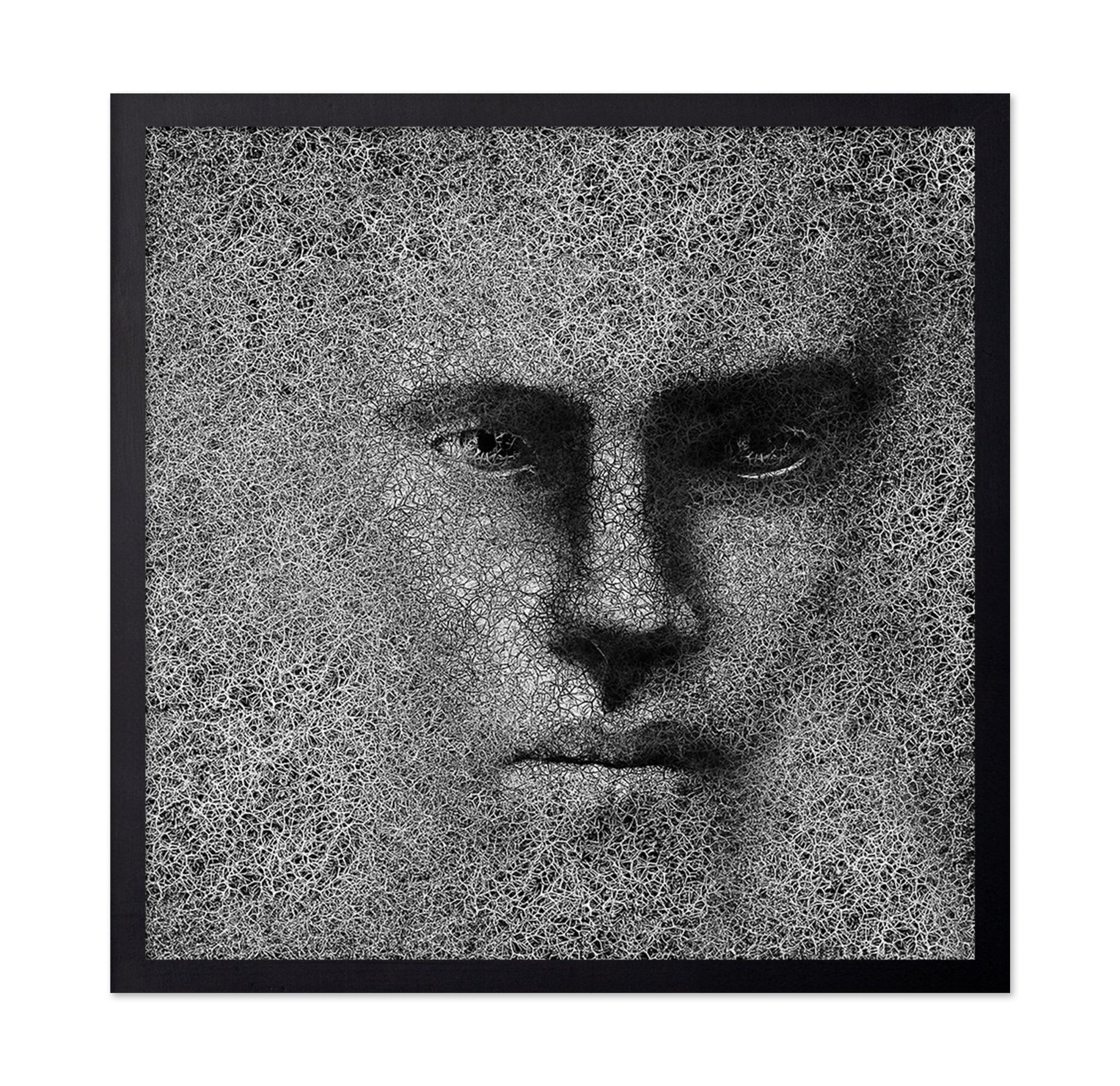 Cracked Shadow Portrait