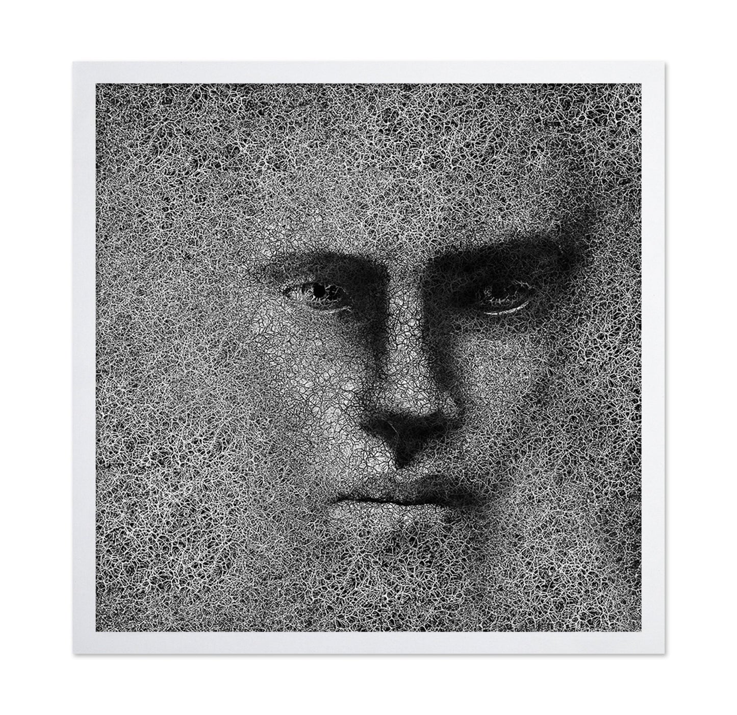 Cracked Shadow Portrait