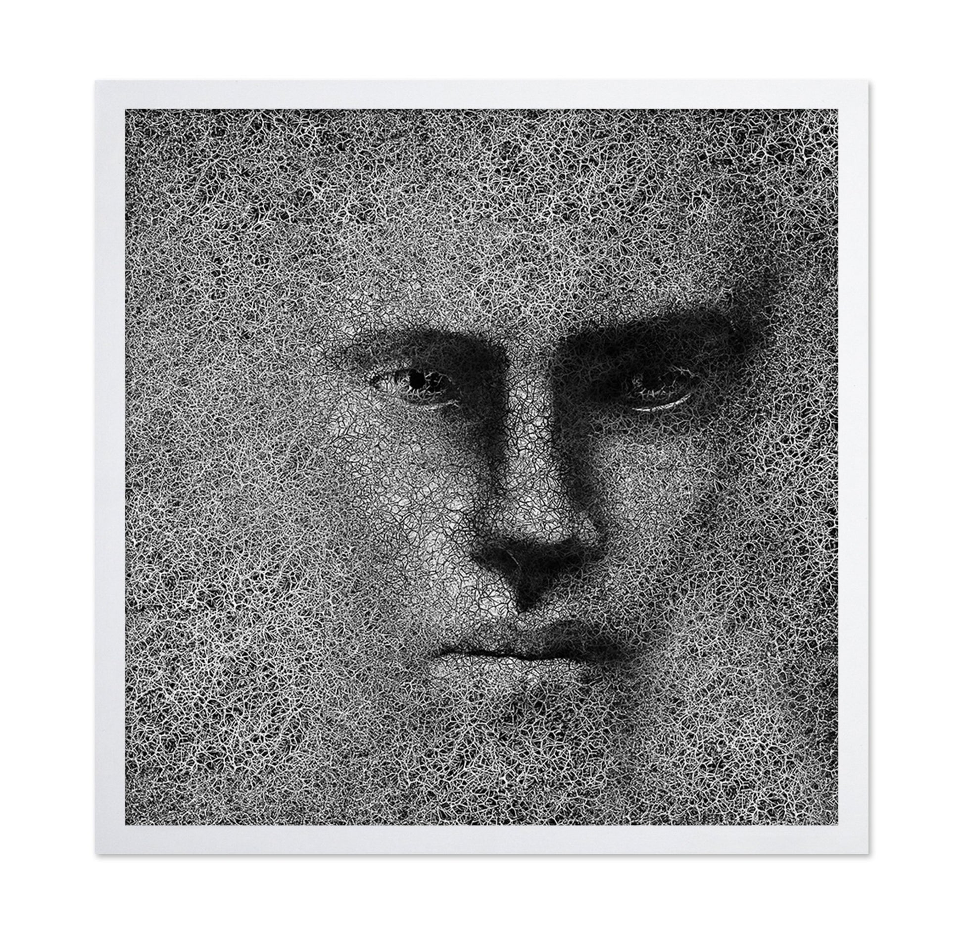 Cracked Shadow Portrait
