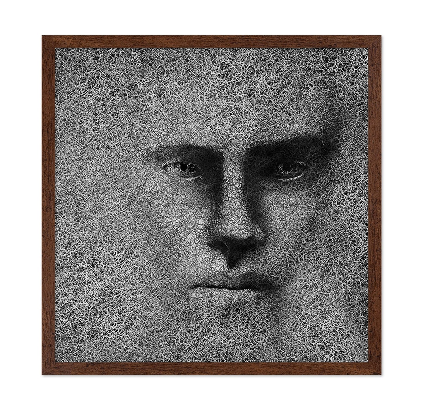 Cracked Shadow Portrait
