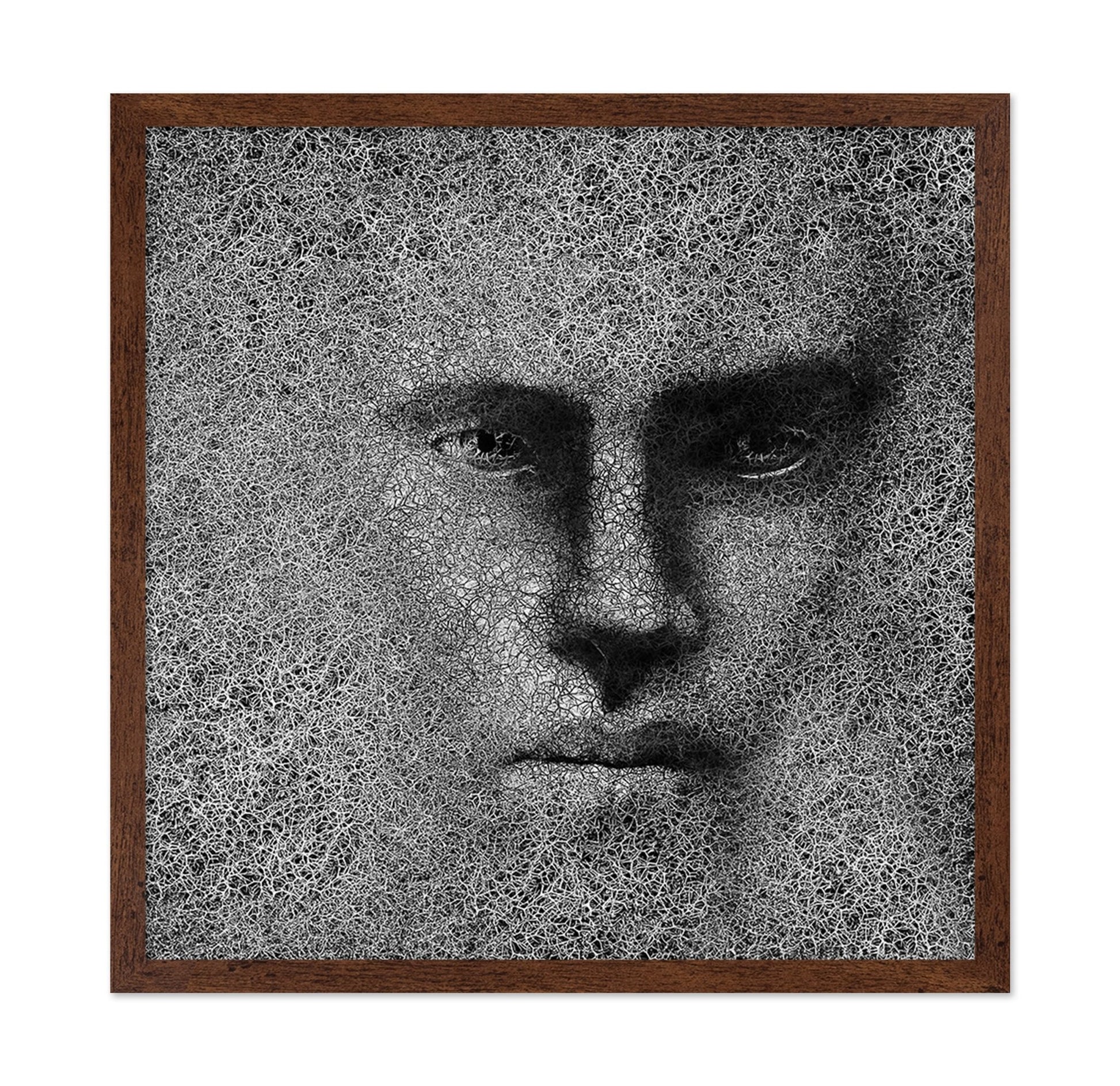 Cracked Shadow Portrait