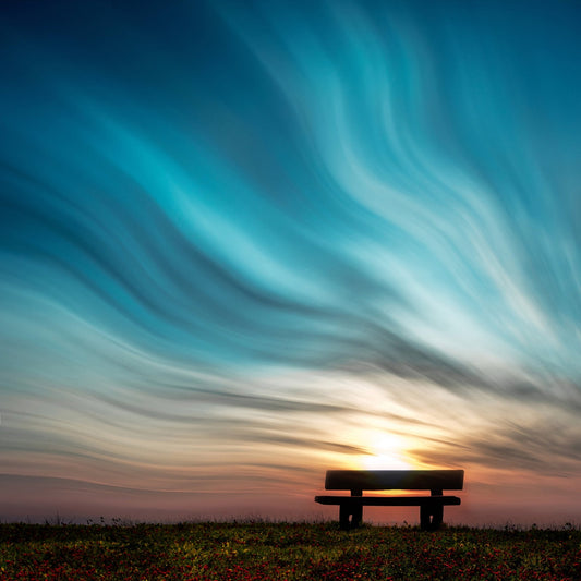 Silent Sky Bench