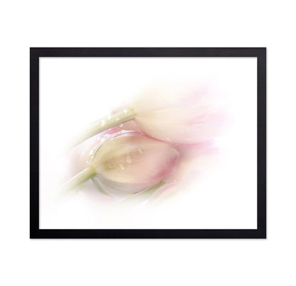 Soft Petal Dew