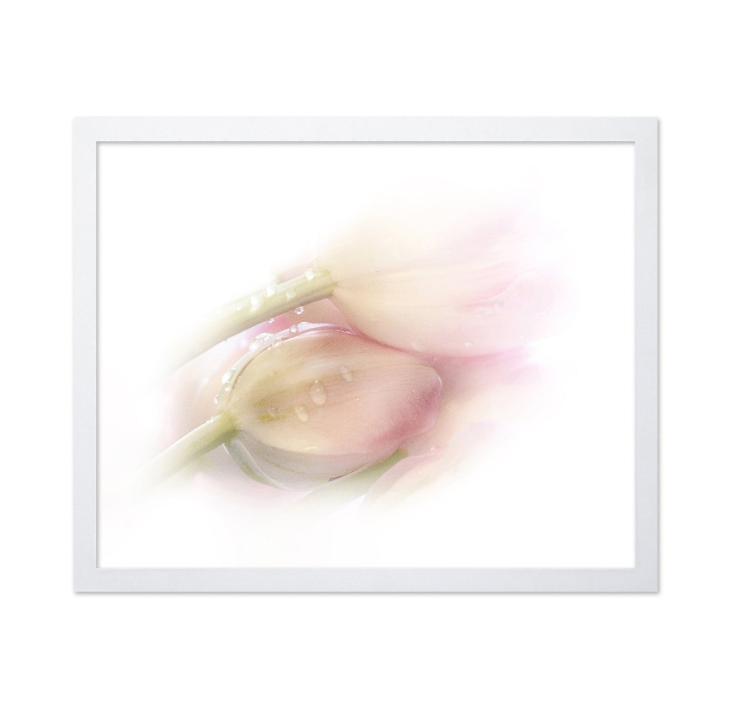 Soft Petal Dew