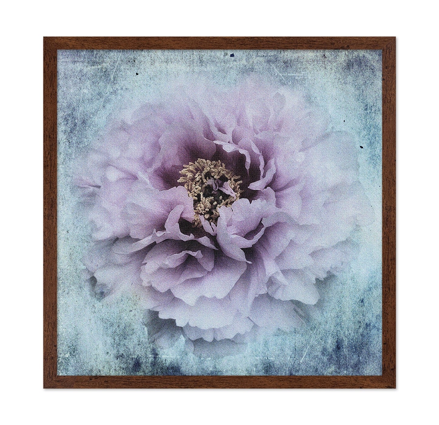 Vintage Peony Bloom