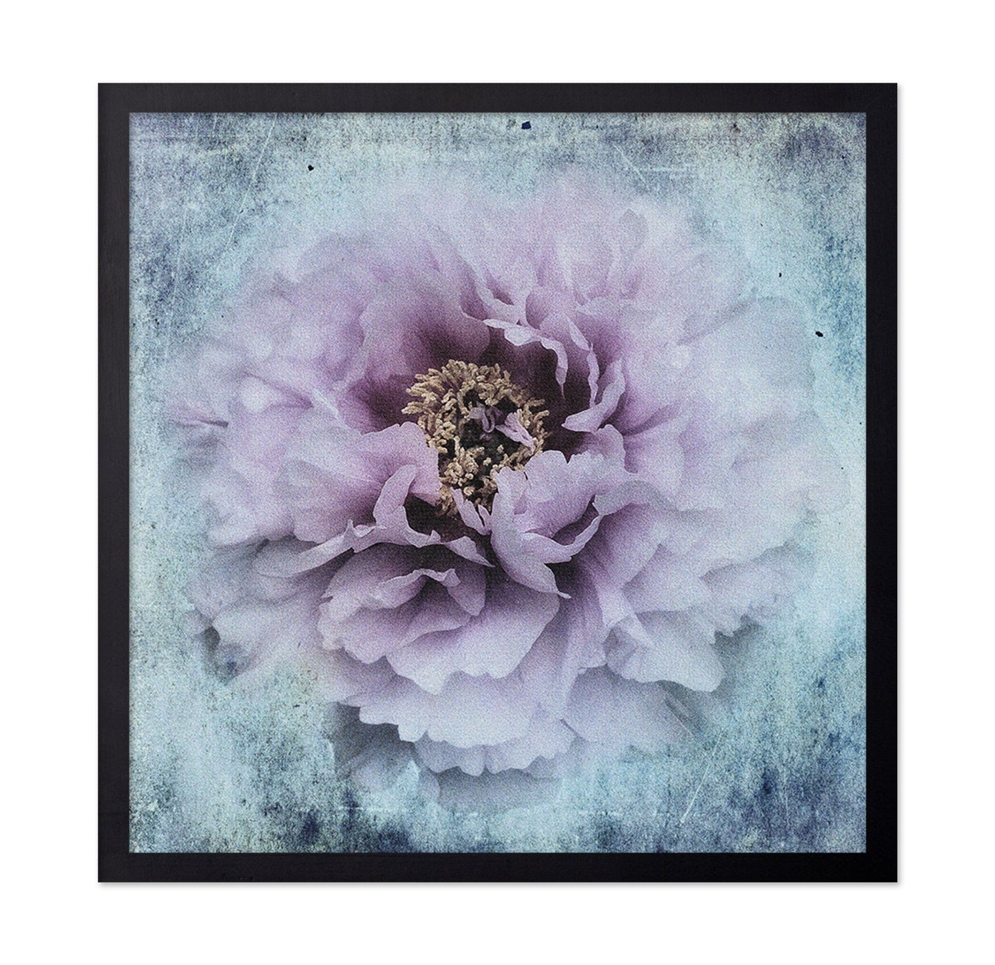 Vintage Peony Bloom