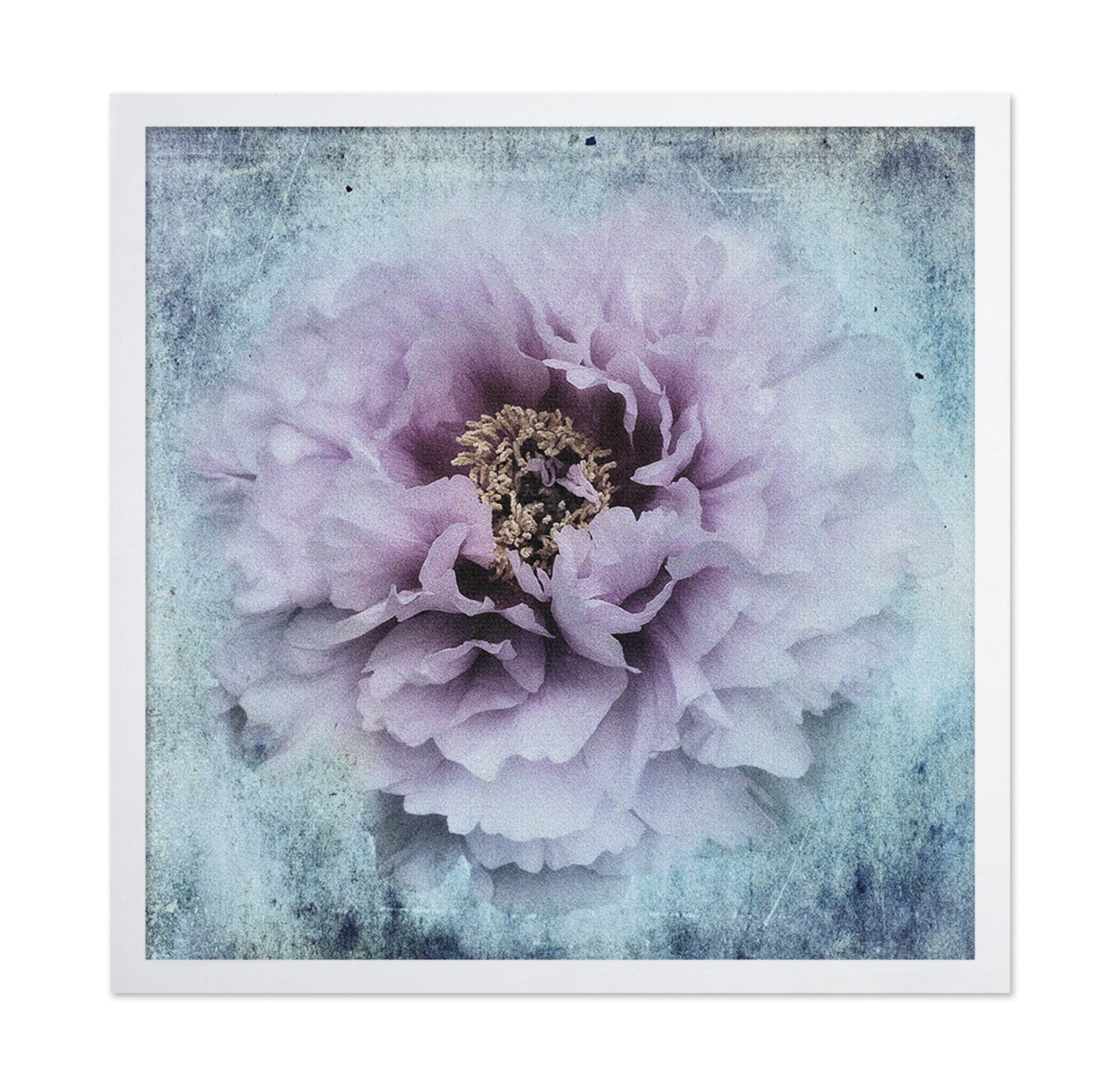 Vintage Peony Bloom