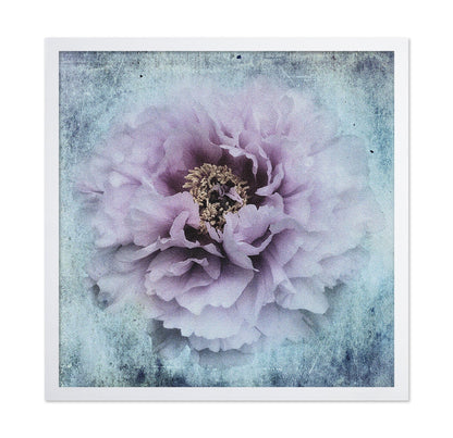 Vintage Peony Bloom