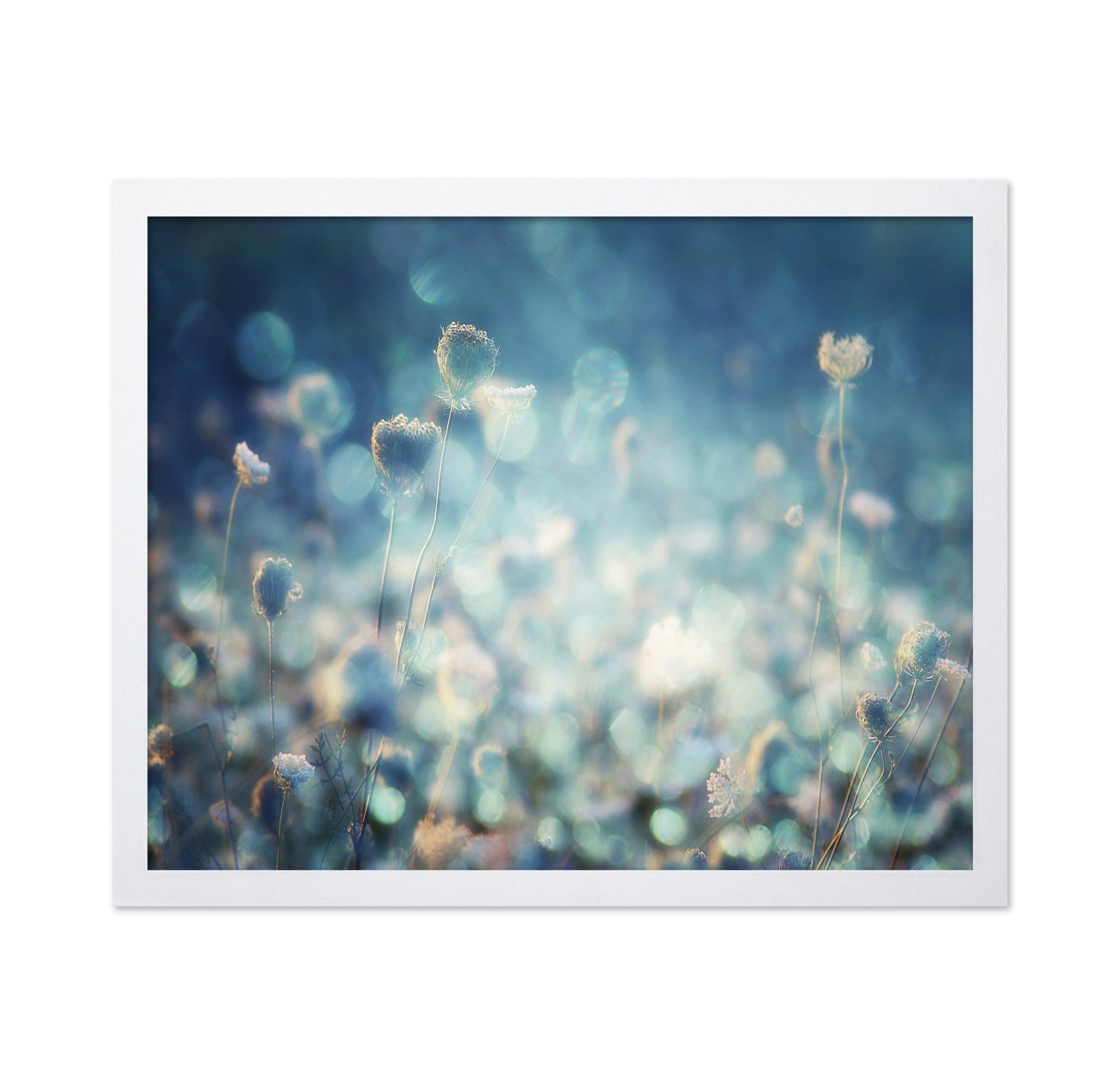 Dreamy Meadow Glow
