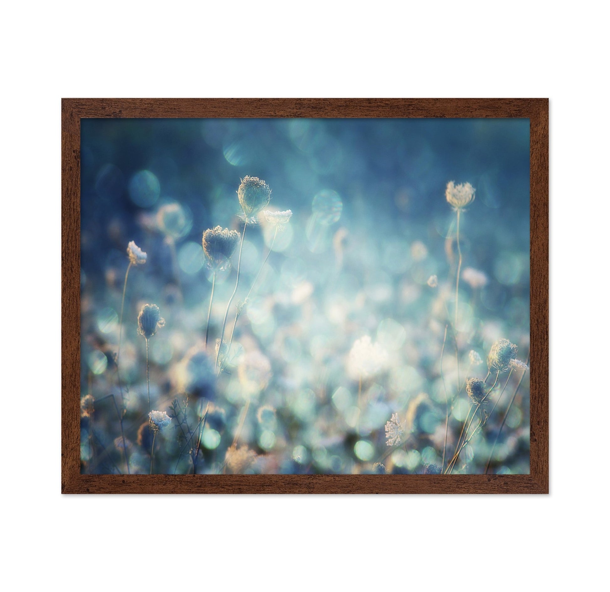 Dreamy Meadow Glow