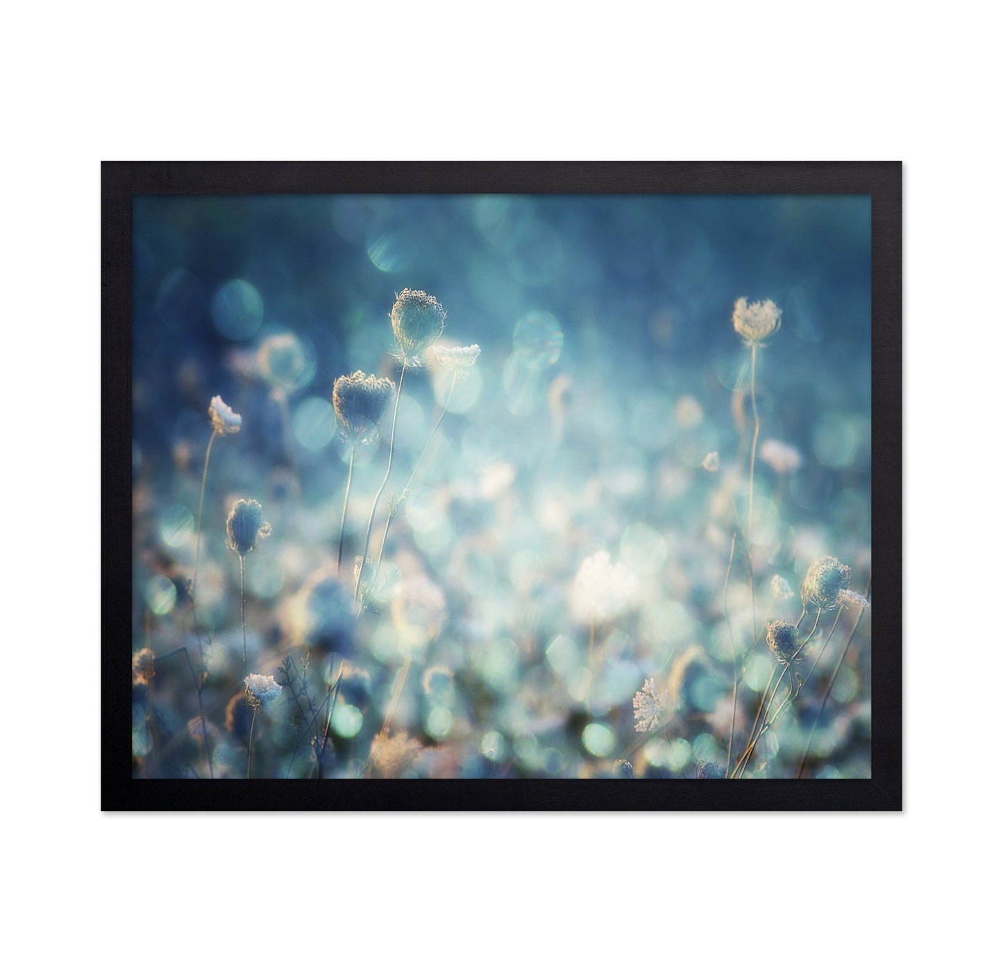 Dreamy Meadow Glow