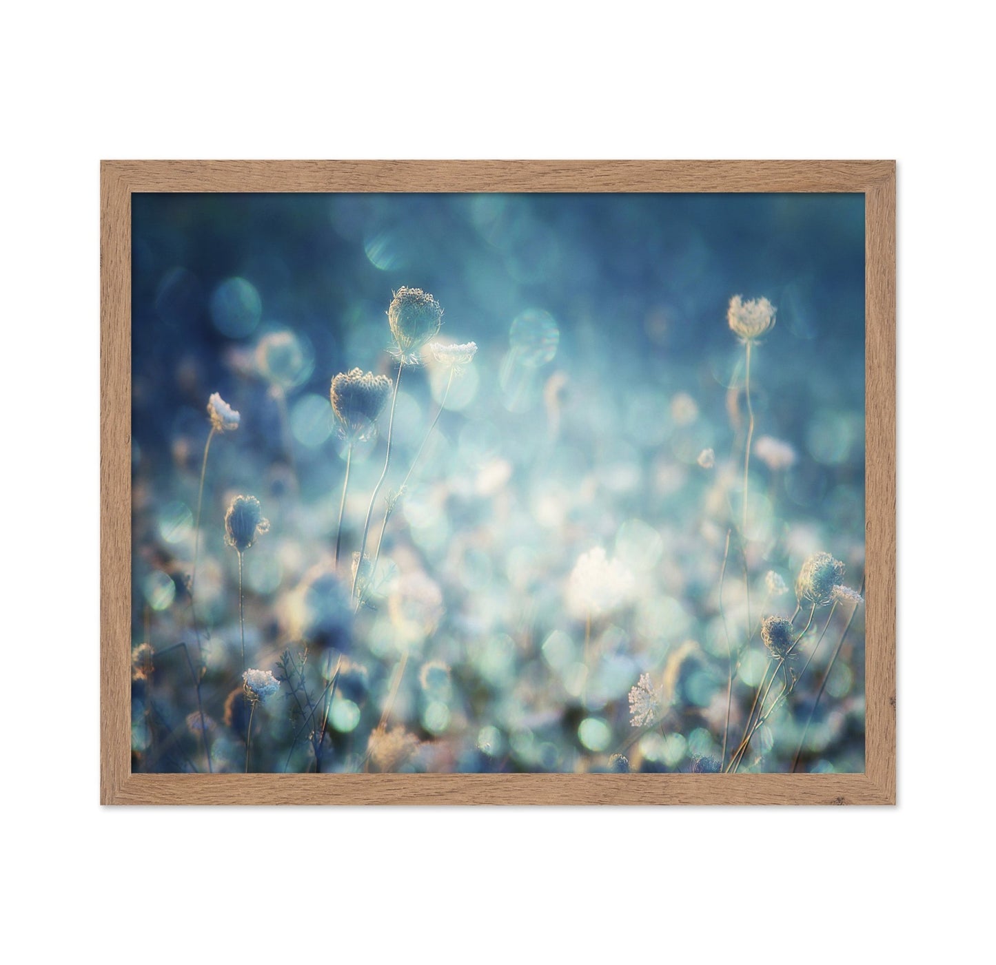 Dreamy Meadow Glow