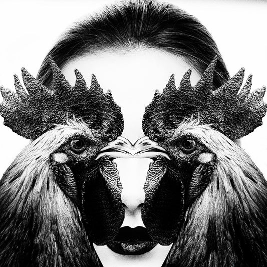 Rooster Face Fusion