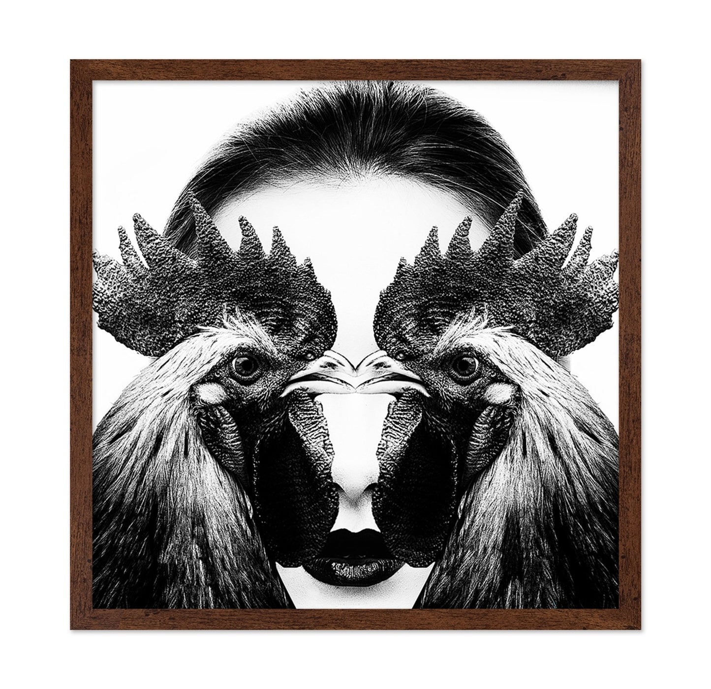 Rooster Face Fusion