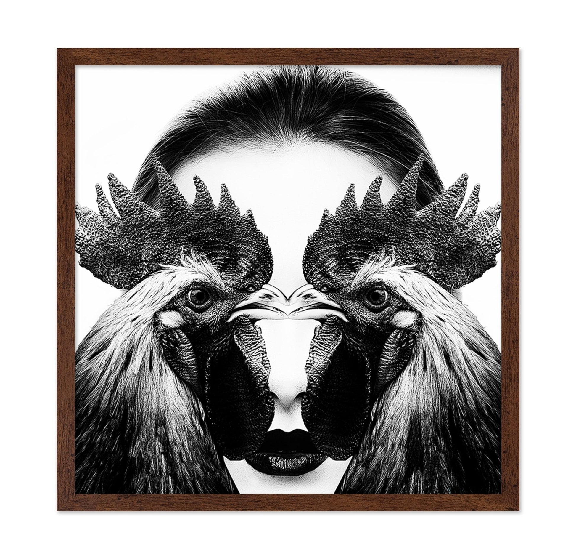 Rooster Face Fusion