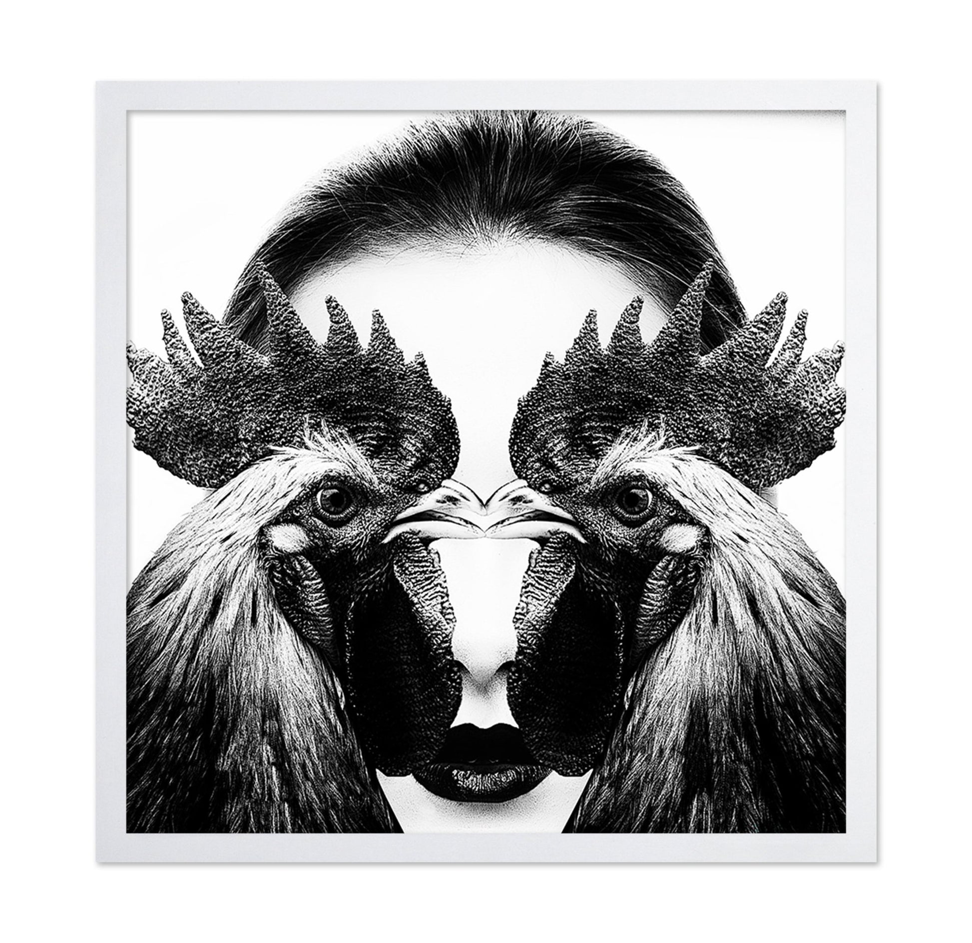 Rooster Face Fusion