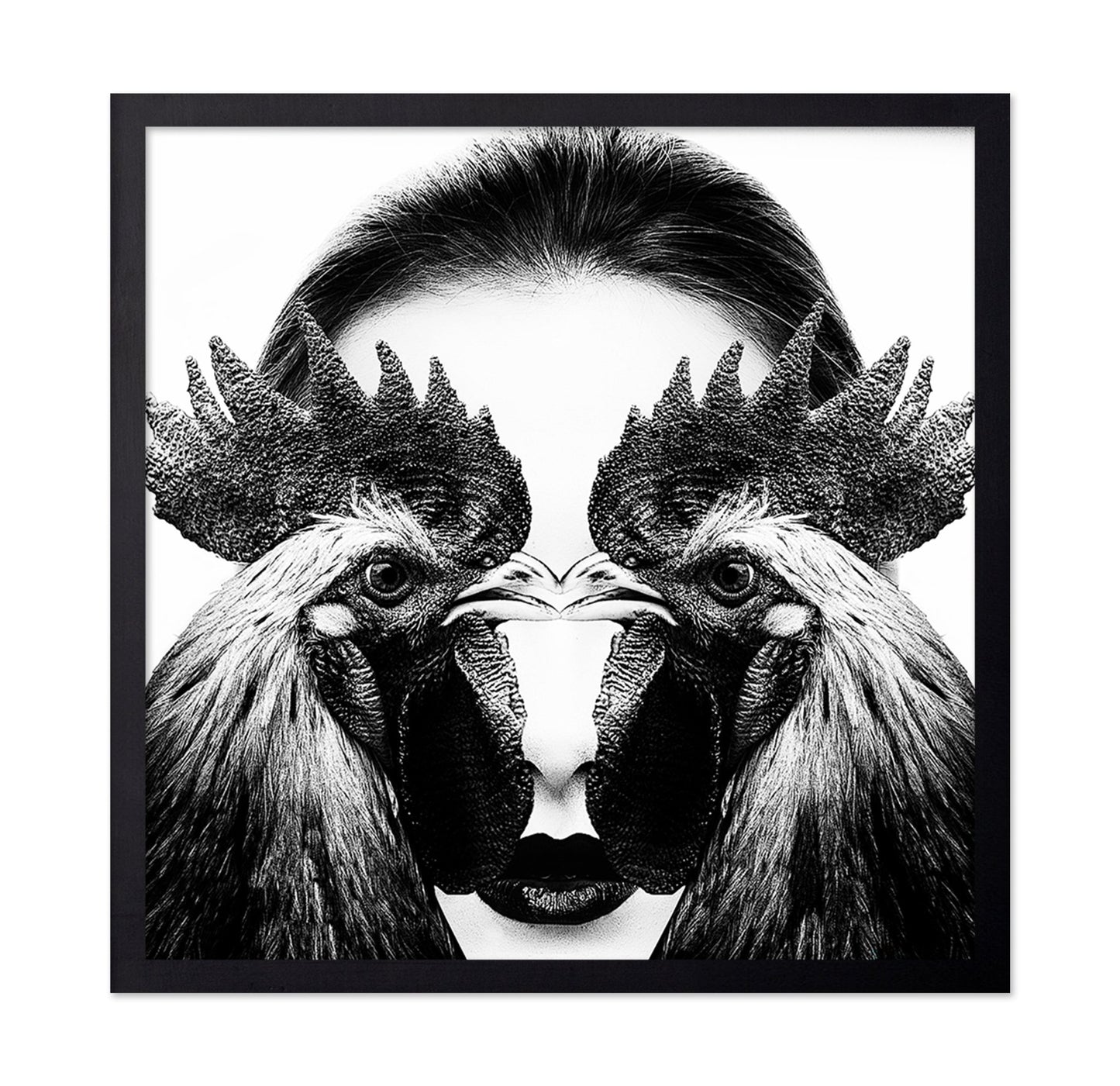 Rooster Face Fusion