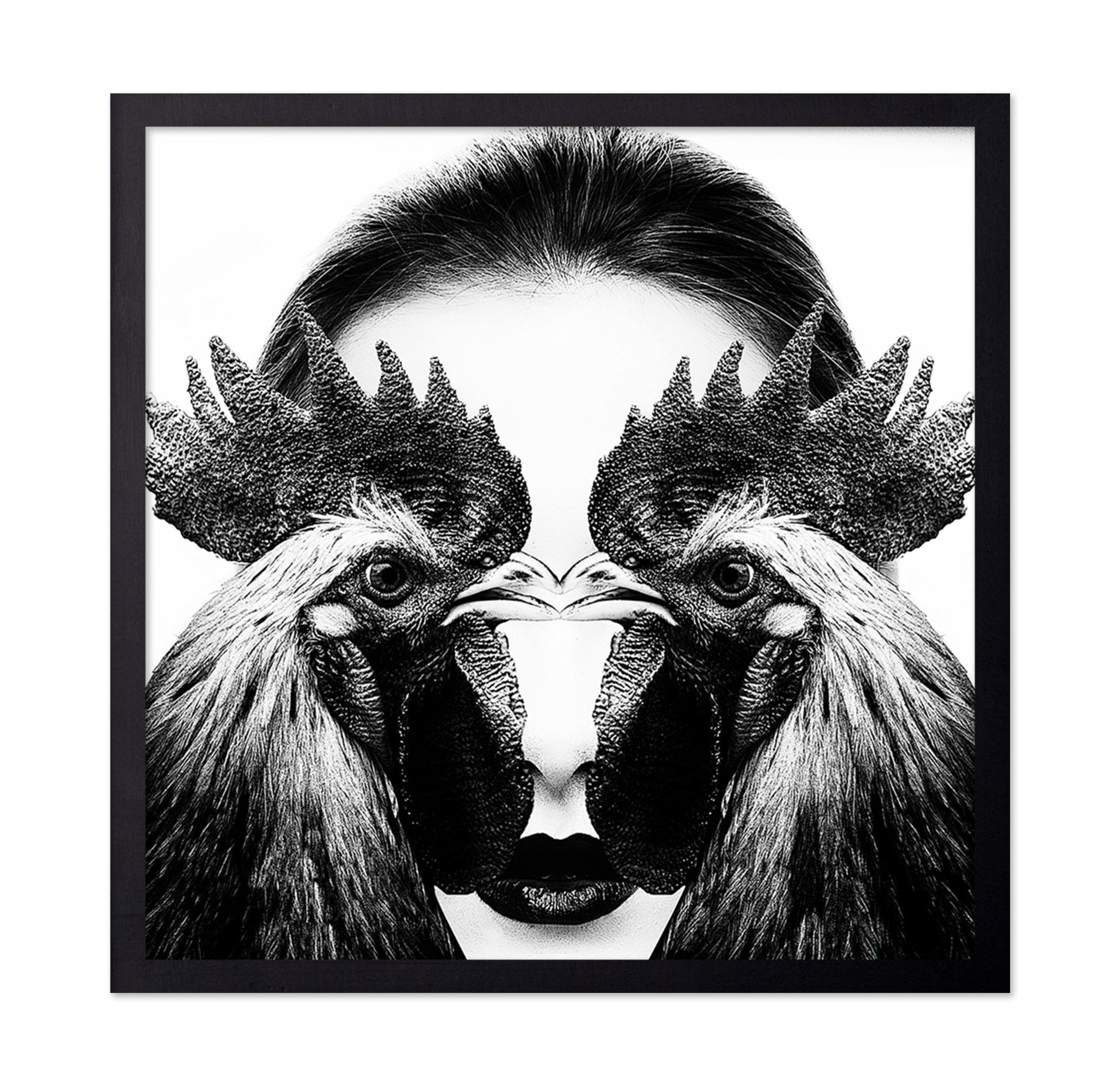 Rooster Face Fusion