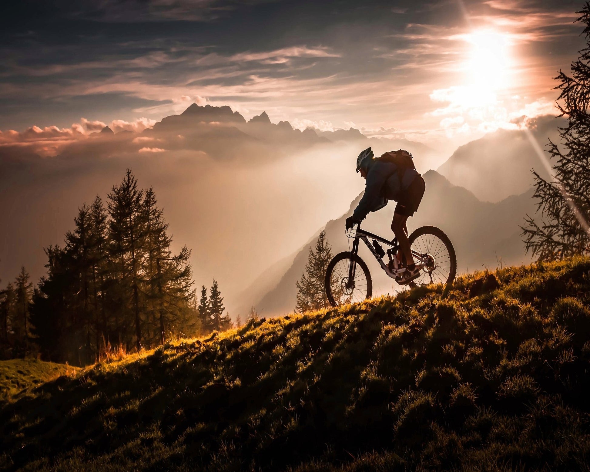 Golden Trail Cyclist