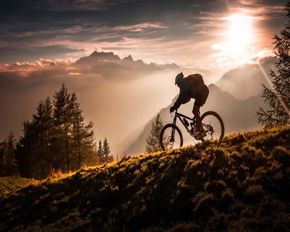 Golden Trail Cyclist