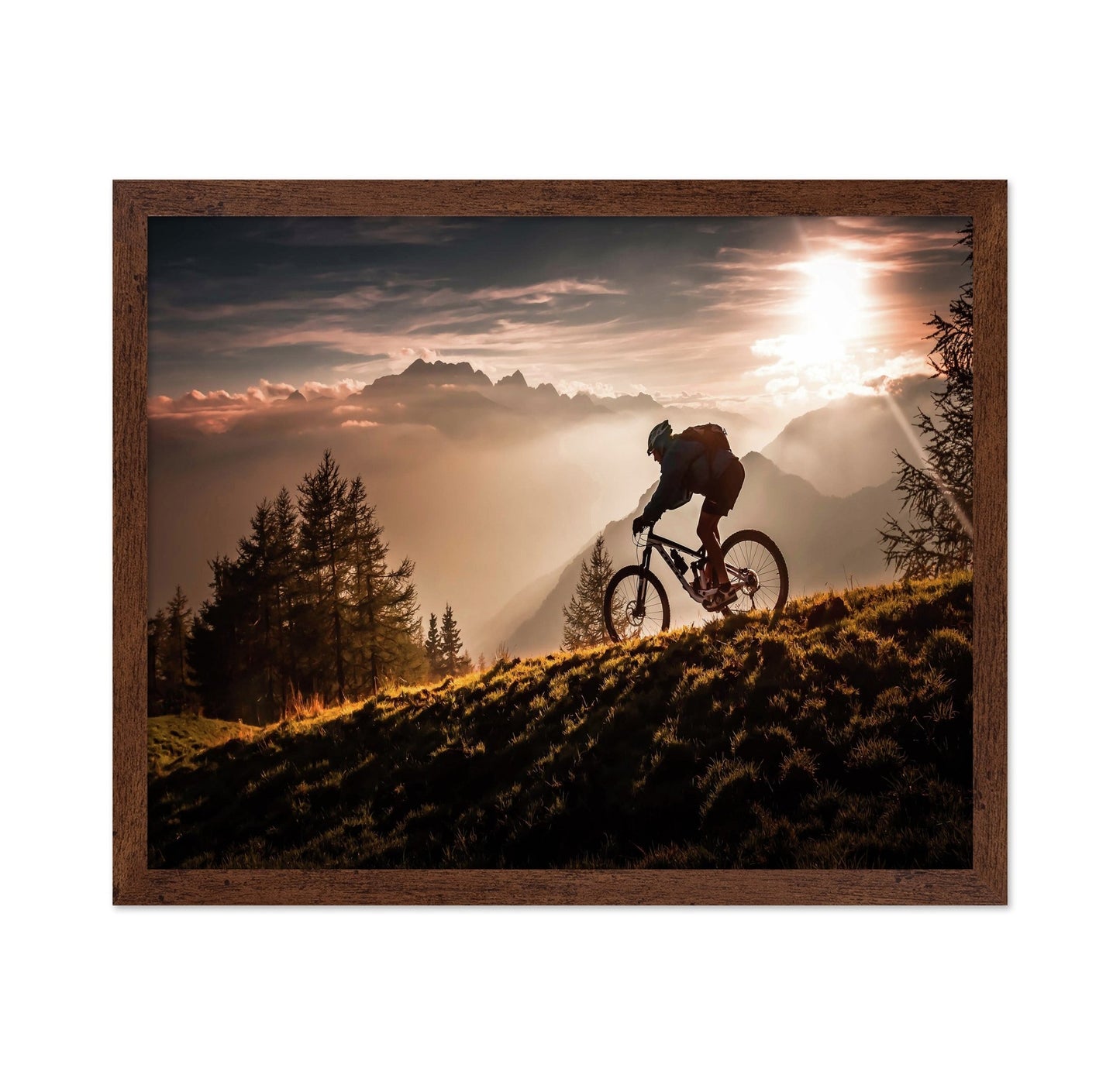 Golden Trail Cyclist